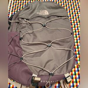 The North Face Borealis Backpack in Brown and Purple